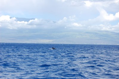 DSC_1100.JPG