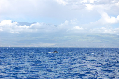 DSC_1101.JPG