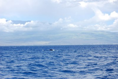 DSC_1102.JPG