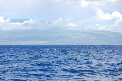 DSC_1103.JPG