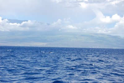 DSC_1104.JPG