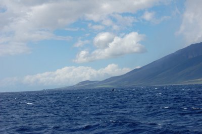 DSC_1105.JPG