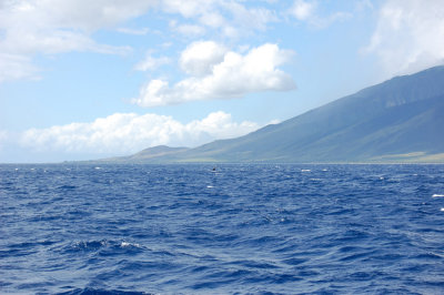 DSC_1106.JPG