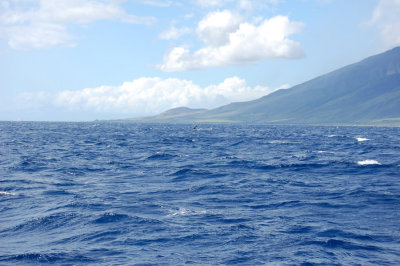 DSC_1107.JPG