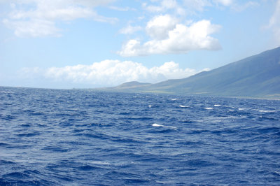 DSC_1108.JPG