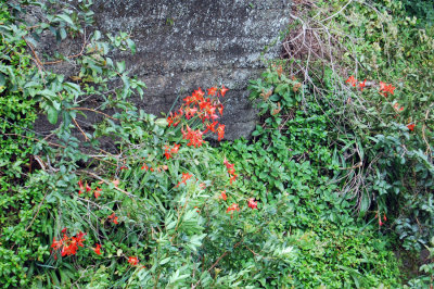 DSC_1121.JPG
