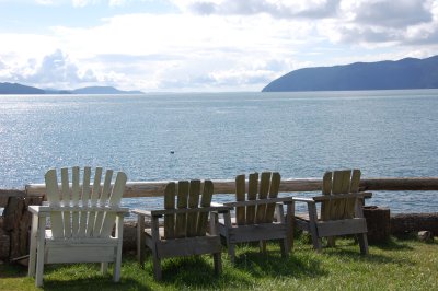 doe bay chairs