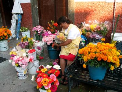 flora vendor