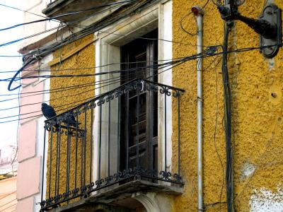 pigeons & yellow walls