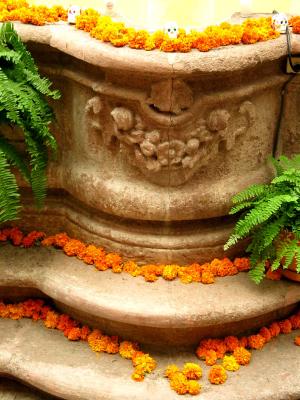 fountain and marigolds