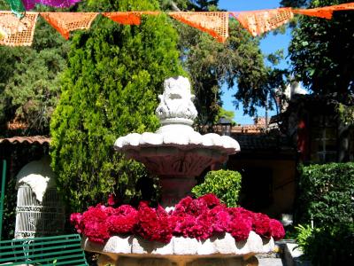 fountain with cockscomb