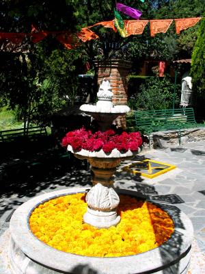 fountain with cockscomb y marigold