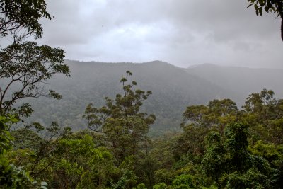HDR - Canyon lookout in Springbrook NP