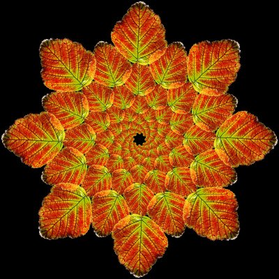 Colored leaf arranged in a logarithmic way