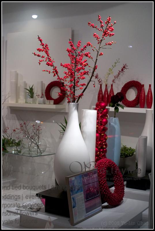 Wild Thyme boutique Window Display