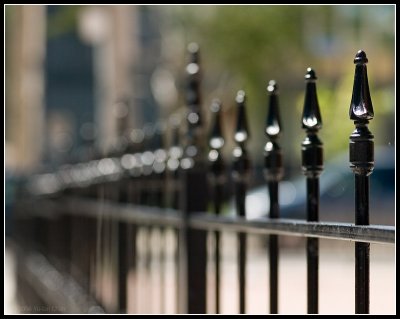 webFence01.jpg