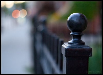 Fence on Queen street