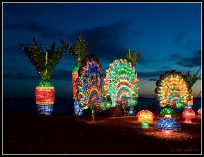 Chinese Lantern Festival