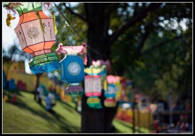 Chinese Lantern Festival