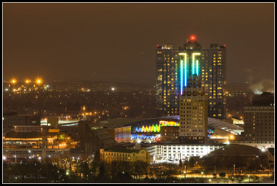 Buffalo at Night