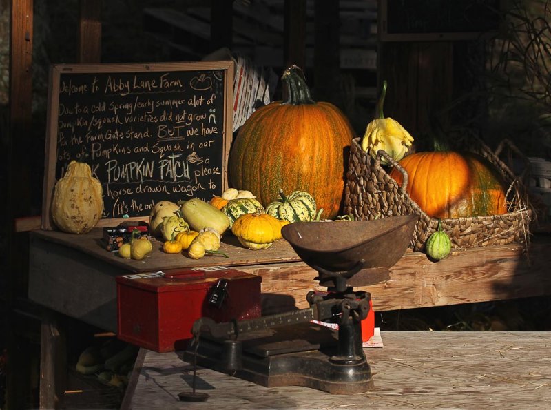 Harvest Time - Carl ErlandCAPA Fall 2011Open