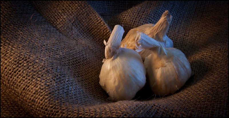  Garlic on Burlap