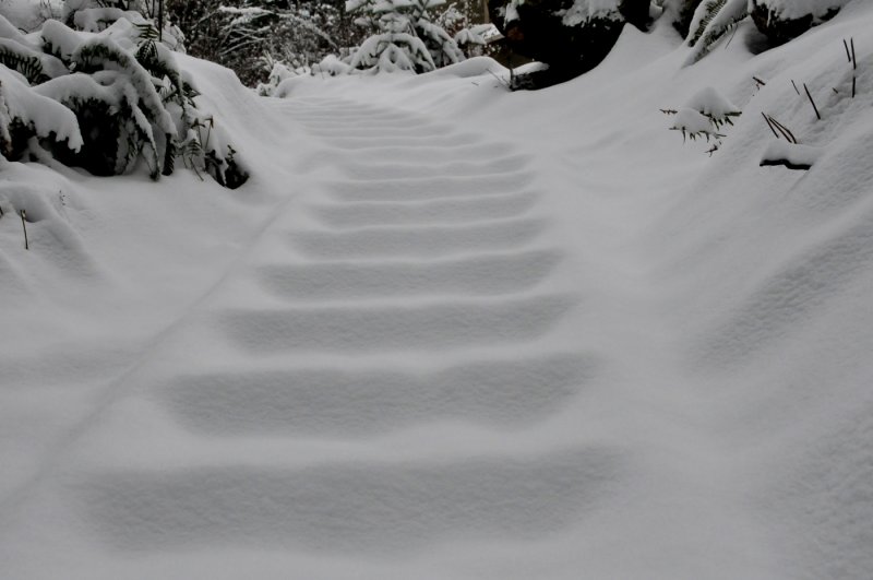 Snow Stairs - Ed WiebeNorth Shore Photographic Challenge 2012Open