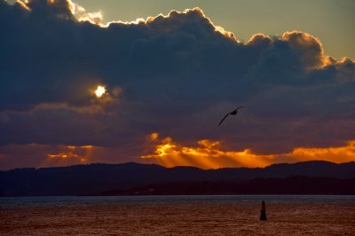 Sunset at Brotchie Ledge