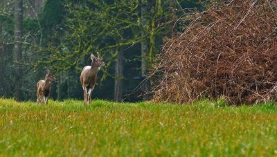 g4/54/364954/3/133339114.owylLuX4.jpg