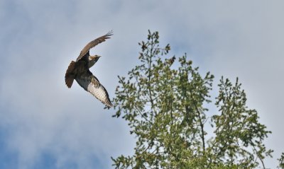 g4/54/364954/3/134078963.fg5lhrvL.jpg