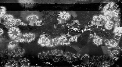 g4/54/364954/3/139469554.Pnt3W4UA.jpg