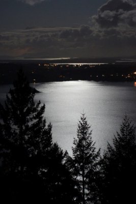 Brentwood Bay under a full moon_portrait.jpg