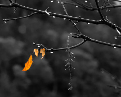 g4/54/364954/3/139939222.pqmQVRK4.jpg