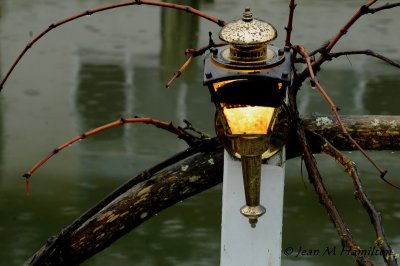 * Cowichan Bay: January 7, 2012