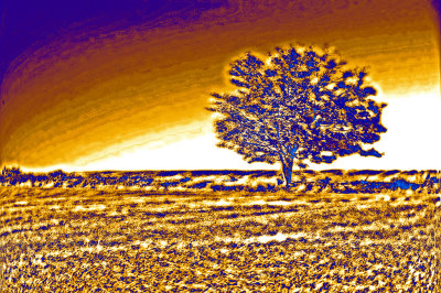 g4/54/364954/3/142239844.bXKs3NtA.jpg