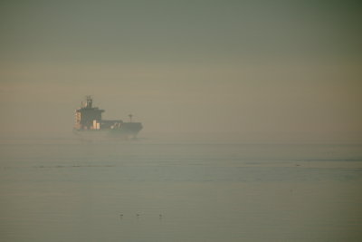 g4/54/364954/3/144503681.6OSgRJNP.jpg