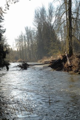 SOUNDS OF THE RIVER