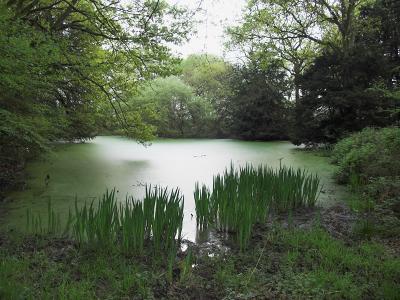 Still waters