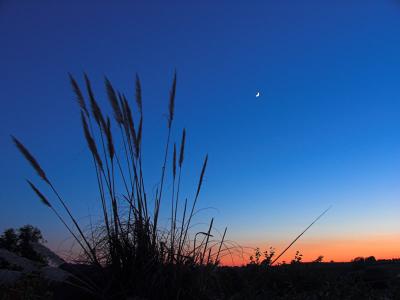 Pampass sunset 2