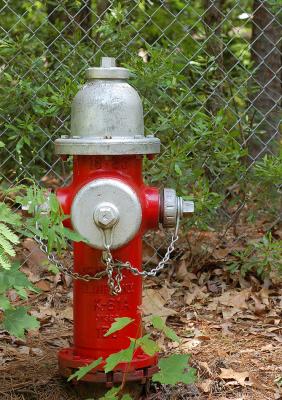 fire_hydrant_sm.jpg