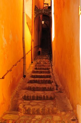 DSC_7416.jpg