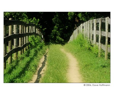 Fence Road