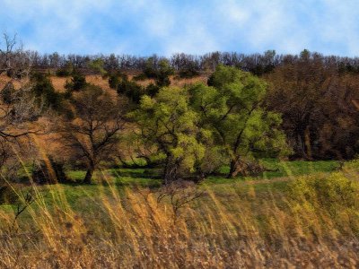 EarlySpringScene_HDR2.jpg