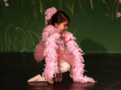 Recital 2006