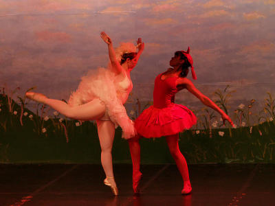 wThe Last Unicorn1.jpg