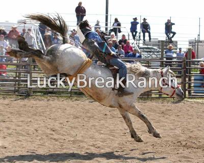 Emmet County High School Rodeo