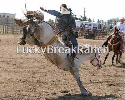 Emmet County High School Rodeo