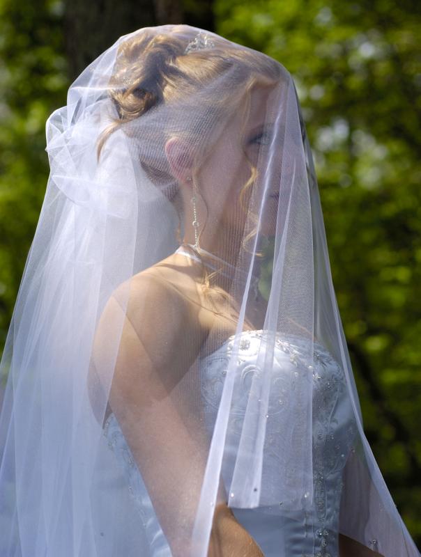 The Beautiful Bride