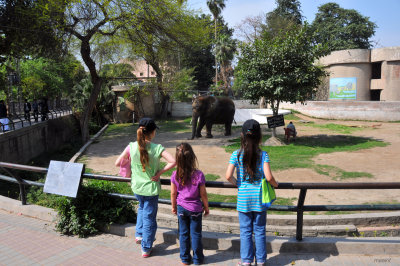 Lahore Zoo