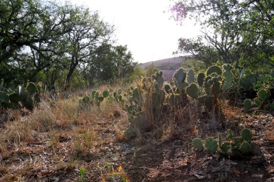 Enchanted Rock